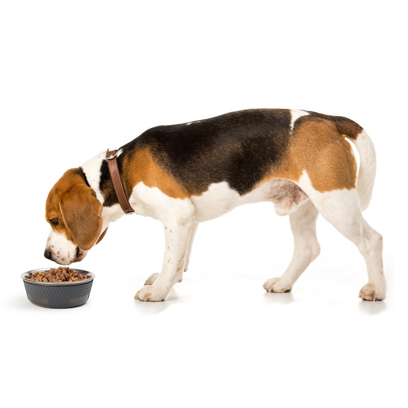 PetRageous 16019 Kona Stainless Steel Non-Slip Dishwasher-Safe Dog Bowl 3.75-Cup 6.75-Inch Diameter 2.5-Inch Tall for Medium and Large Dogs and Cats 30-Ounce, Grey - Image 5